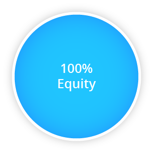 Pie Chart: 100% Equity