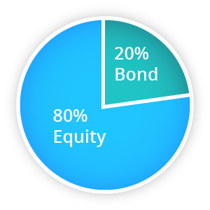 Pie Chart: 80% Equity, 20% Bond