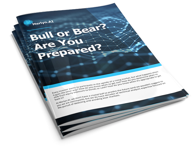 Bull or Bear? Are You Prepared? Cover