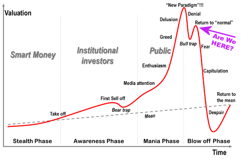 Figure 6. Line graph where the X-axis measures time and the Y-axis measures valuation. The x-axis is divided into a stealth phase, an awareness phase, a mania phase, ans a blow off phase. At the end of the mania phase, there is a "new paradigm" followed by denial, a bull trap, and then a return to "normal" preceding a dramatic drop in valuation. A magenta error indicates the "return to normal," saying, "Are we here?"